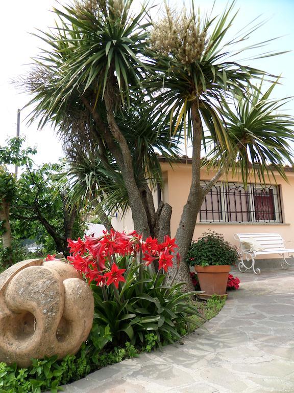 B&B Villino Lory Marino Rum bild