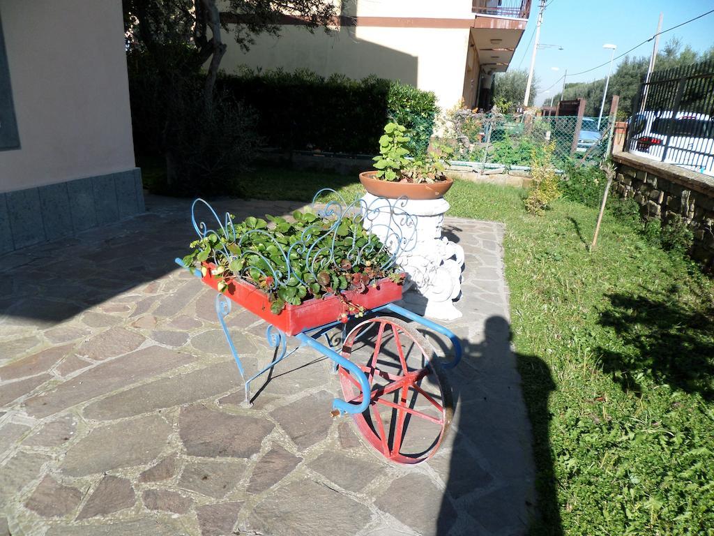 B&B Villino Lory Marino Exteriör bild